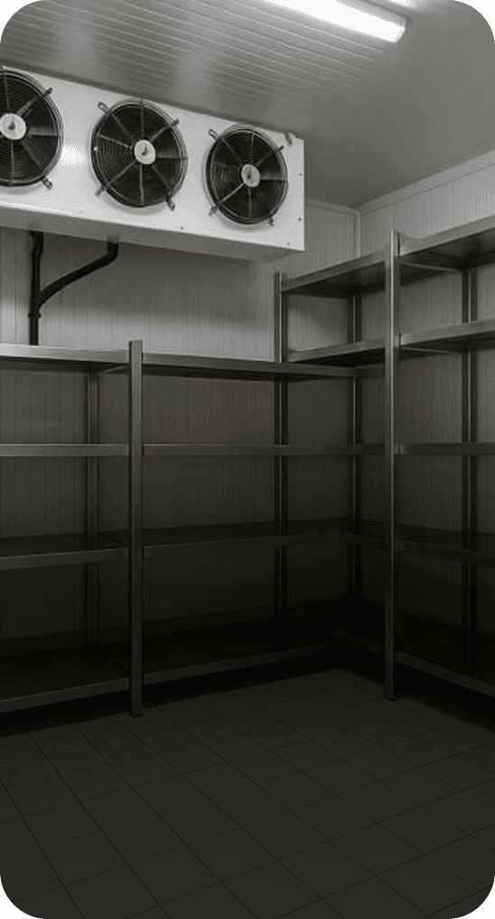 Commercial walk-in cooler with organized inventory